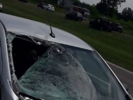 Atropellado en la autopista a Córdoba está grave
