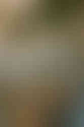 Casey-Joe-AnnieWilcoxPhotography-116 copy