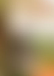 วว. พัฒนาปุ๋ยอัดแท่งละลายช้า เพิ่มมูลค่าวัสดุเหลือทิ้งทางการเกษตร