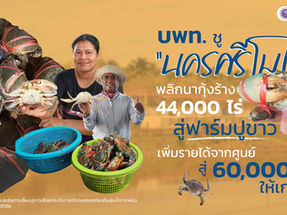 บพท. ชู “นครศรีโมเดล” พลิกนากุ้งร้าง 44,000 ไร่
สู่ฟาร์มปูขาว เพิ่มรายได้จากศูนย์ สู่ 60,000 บาทให้เกษตรกร