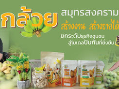 กล้วยสมุทรสงคราม สร้างงาน สร้างรายได้ ยกระดับธุรกิจชุมชนสู่โมเดลปันกันที่ยั่งยืน