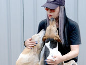 (ชมคลิป)“สบู่วิภาดา” ช่วยสุนัขจรจัดกว่า 300 ชีวิต มอบอาหารเม็ดให้น้องหมาได้อิ่มและมีความสุข