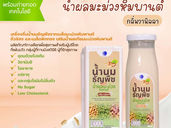 วว. พัฒนาผลิตภัณฑ์น้ำนมธัญพืชเสริมน้ำผลมะม่วงหิมพานต์