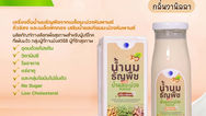 วว. พัฒนาผลิตภัณฑ์น้ำนมธัญพืชเสริมน้ำผลมะม่วงหิมพานต์