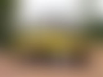 วว./พันธมิตร จัดกิจกรรมปลูกป่าเฉลิมพระเกียรติ