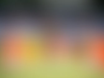 บี.กริมสนับสนุนรายการขี่ม้าแห่งประวัติศาสตร์แฮมเบิร์กดาร์บี Hamburg Derby 2025