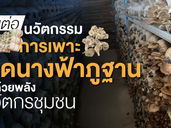 ส่งต่อนวัตกรรมการเพาะเห็ดนางฟ้าภูฐาน ด้วยพลังนวัตกรชุมชน