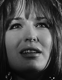 1964-02.jpg