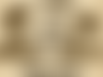 The Race to Fly: What It Really Takes to Win