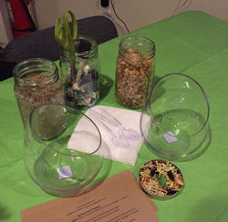 Terrarium Party