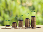 Growth Seedling.jpg