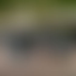 Leisure Acquisition: Freehold commercial investment in Newcastle-under-Lyme 