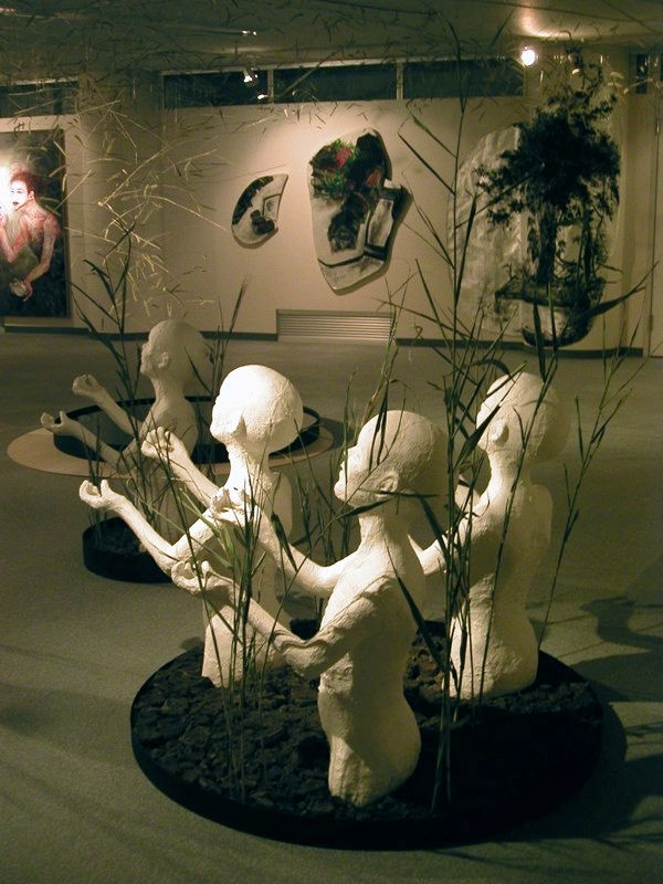 2005　ドロタボウ
