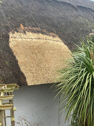 thatch patch on roof