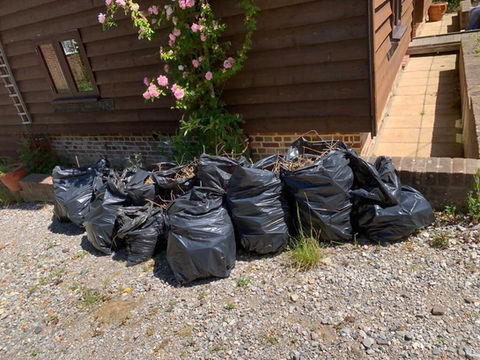 lots of black bin bags full of birds nest debris