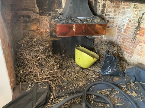 lots of debris around a chimney following birds nest removal 