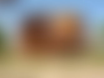 CONSTRUÇÃO DE MADEIRA