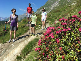 Genusswandern Engadin
