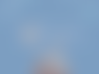 Turn Winter Blues Into Summer Blooms