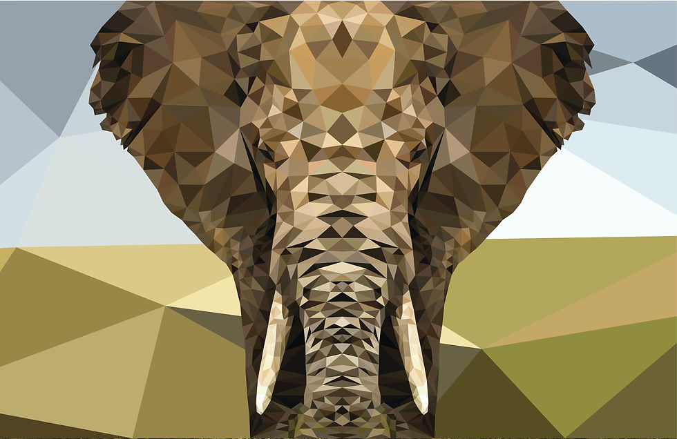 Low Poly Illustration Finished - Adrian Horn