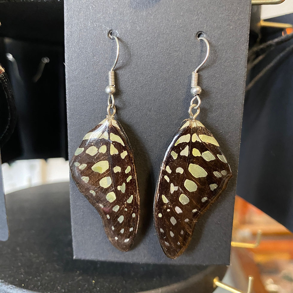 Thumbnail: Butterfly Wing Earrings