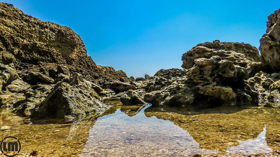 Praia dos Arrifes
