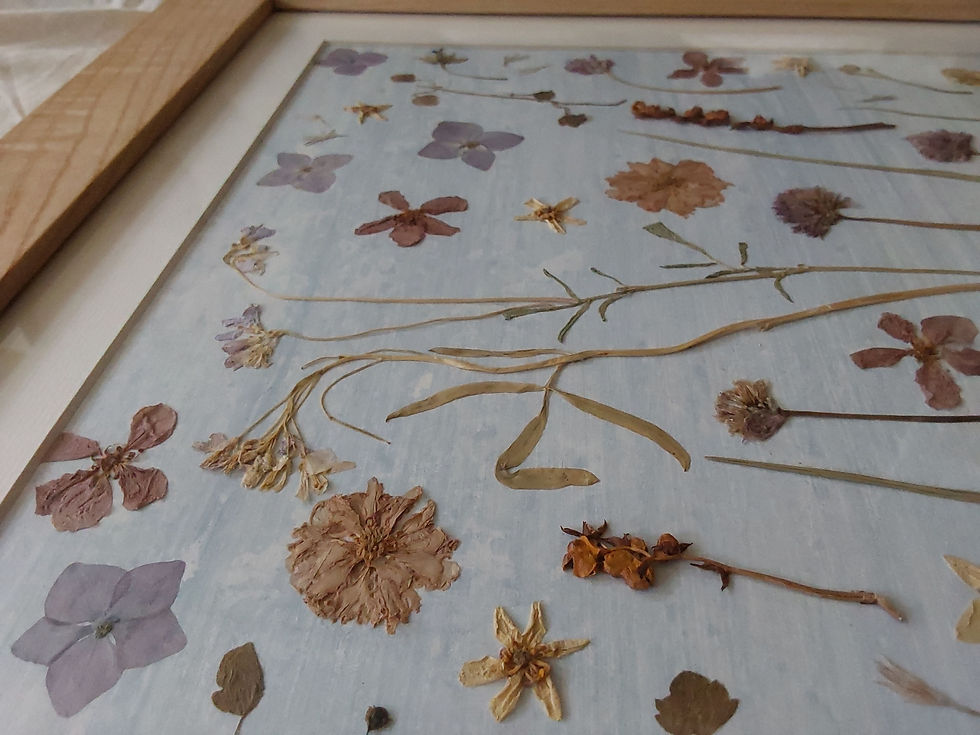 Thumbnail: Original pressed flower art - Hydrangeas & Cherries - in upcycled frame