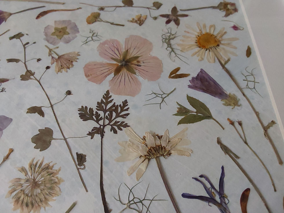 Thumbnail: Original pressed flower art - Geraniums & Geums - a close up