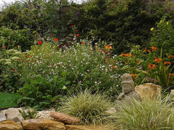 grasses surround the pond, somerset