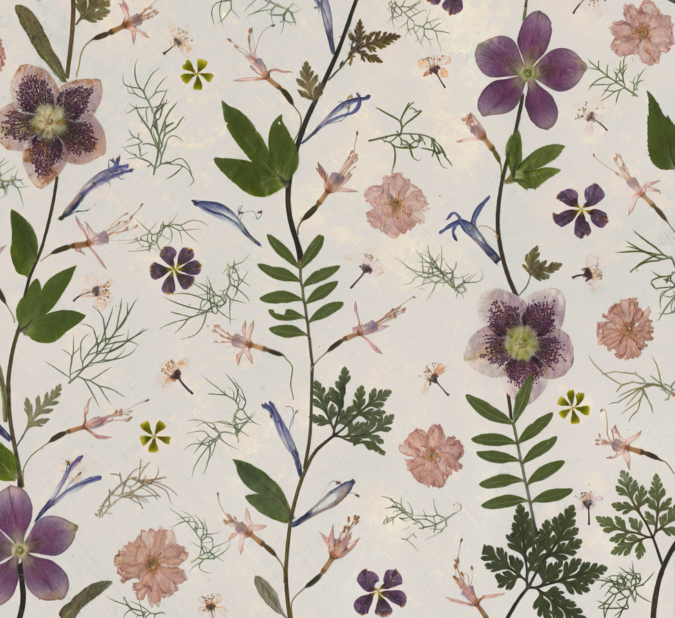 This is a close up of the original pressed flower artwork of The Hellebores by Sarah Cadman.