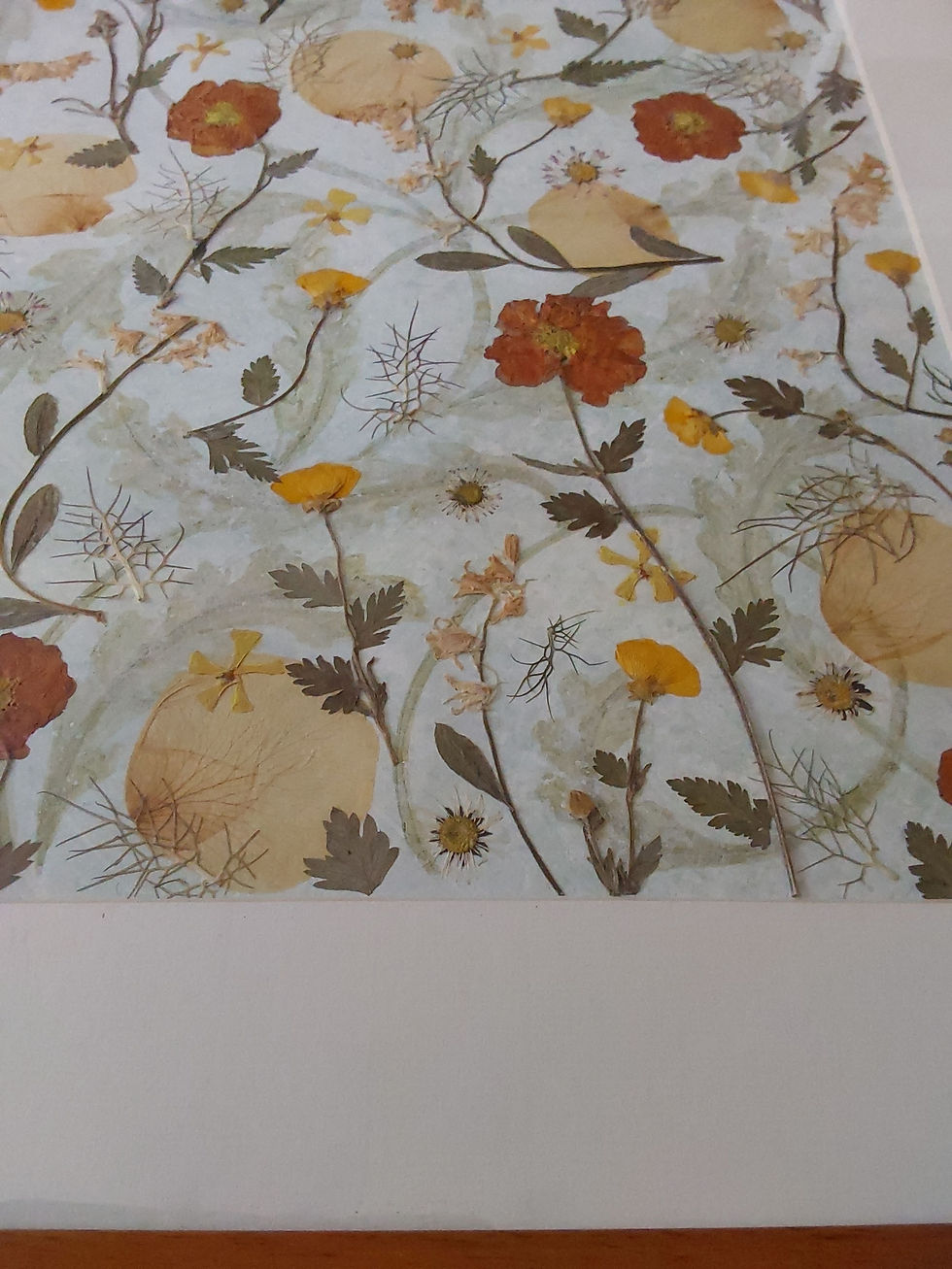 Thumbnail: Original pressed flower art - Geums Morris - close up showing mount