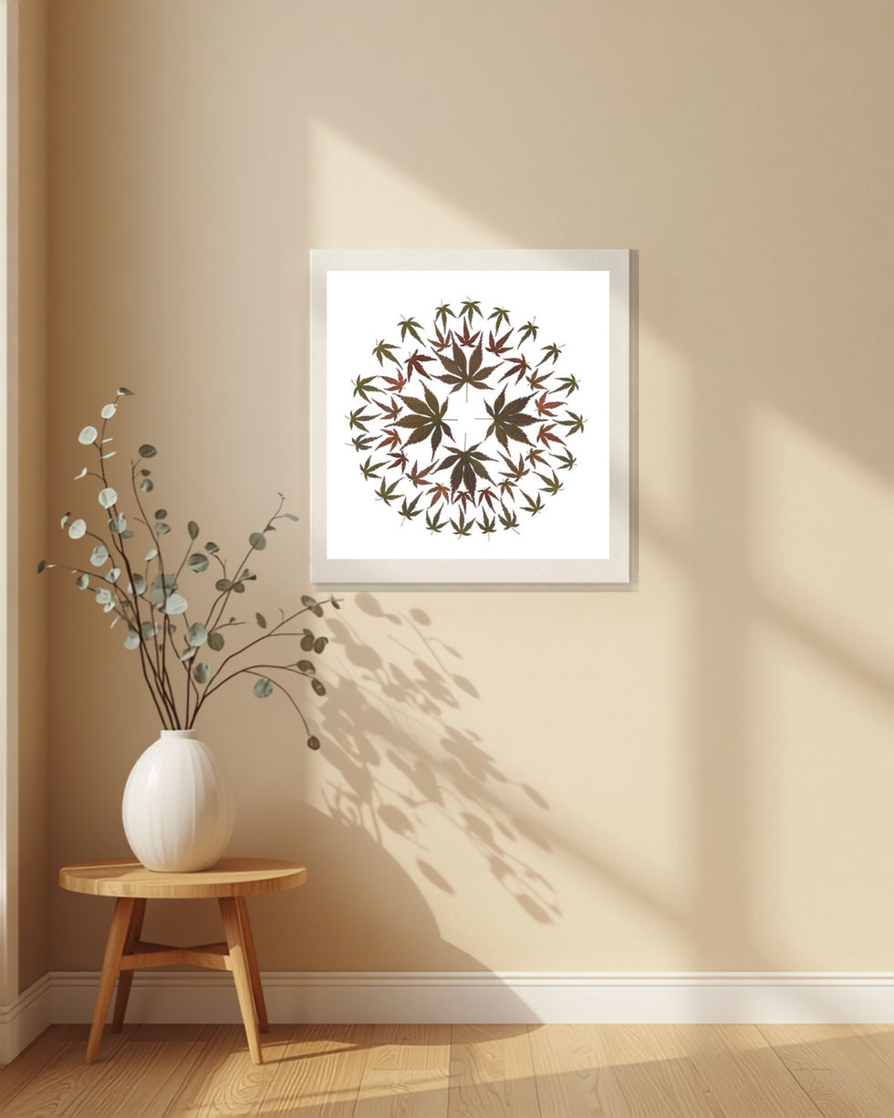 Pressed flower artwork named - Acer Leaves - from the 2026 Circle group.
A giclee print sized 290mm x 290mm, of pressed Acer Leaves. This limited edition giclee print comes without a mount or frame.