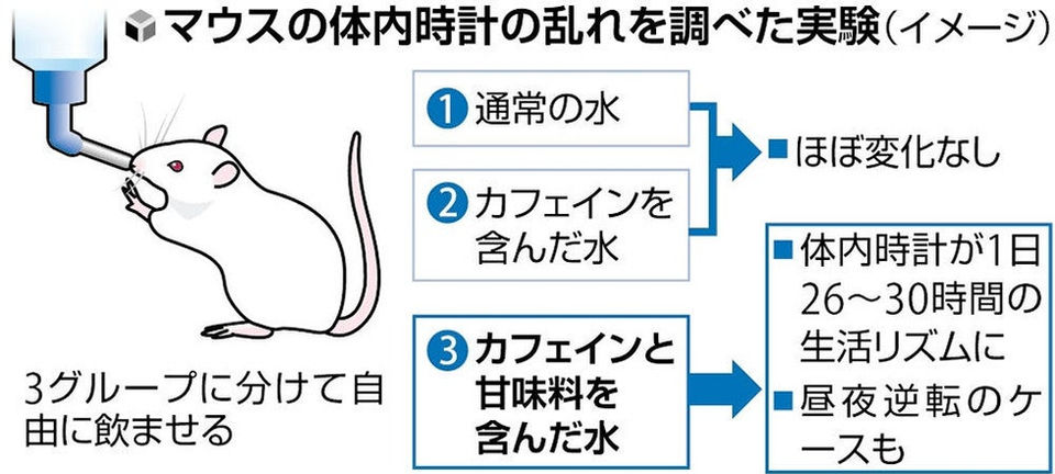読売新聞オンラインに記事が掲載されました。「甘いカフェイン」摂取、体内時計乱れる恐れ…コーヒー飲料など「いつ飲むのがいいか検討必要」