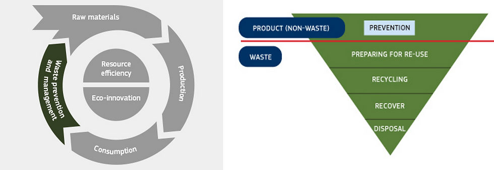 Circular Economy, Circular Healthcare