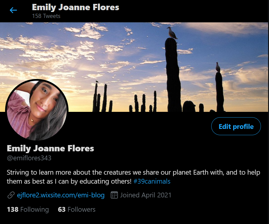 The Final Twitter Update 