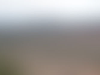 Why Private Conservancies Are the Future of Safari Luxury