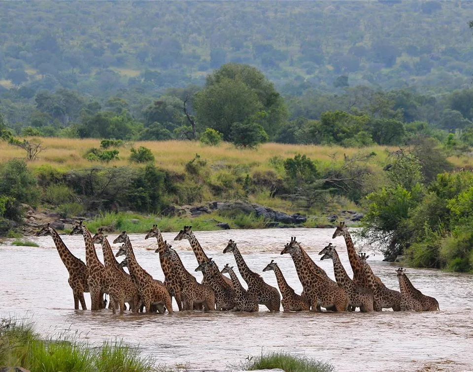 Mara North Conservancy