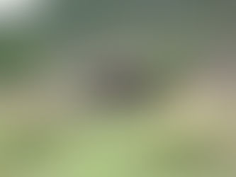 The Ultimate 2026 Guide to East Africa Safari Experiences