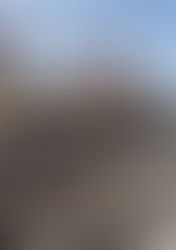 Magazine n. 03|04 - 2026 del 17 aprile