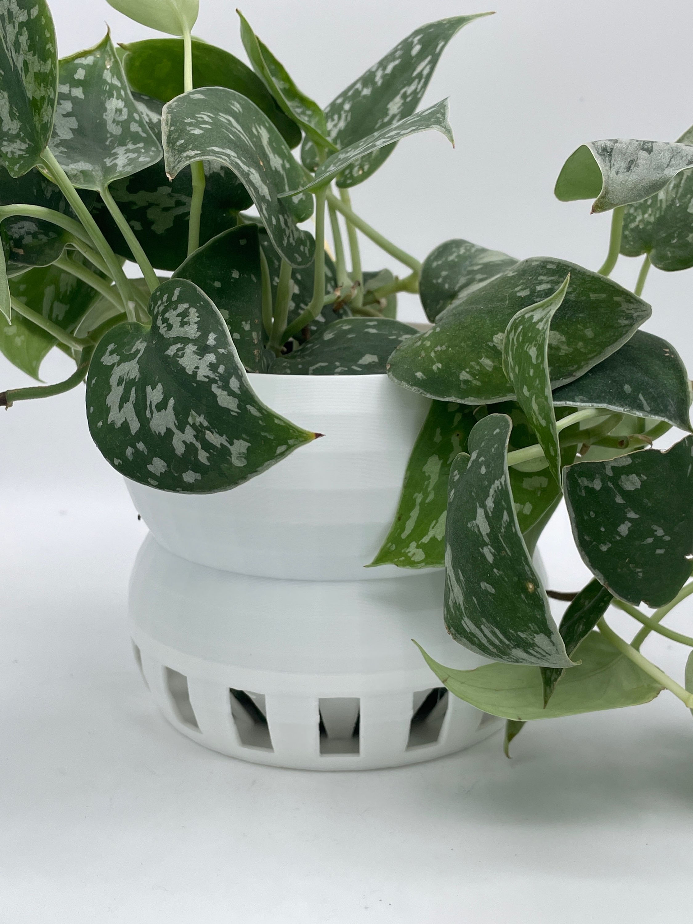 Basic Pot No. 8 - Small