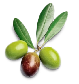 Olives.png