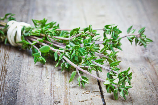 The-Health-Benefits-of-Thyme-512x341.jpeg