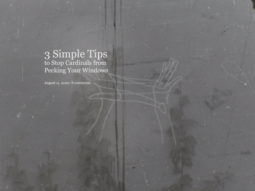 Screenshot 2021-12-19 17.56.09.png