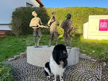 dog pet relocation