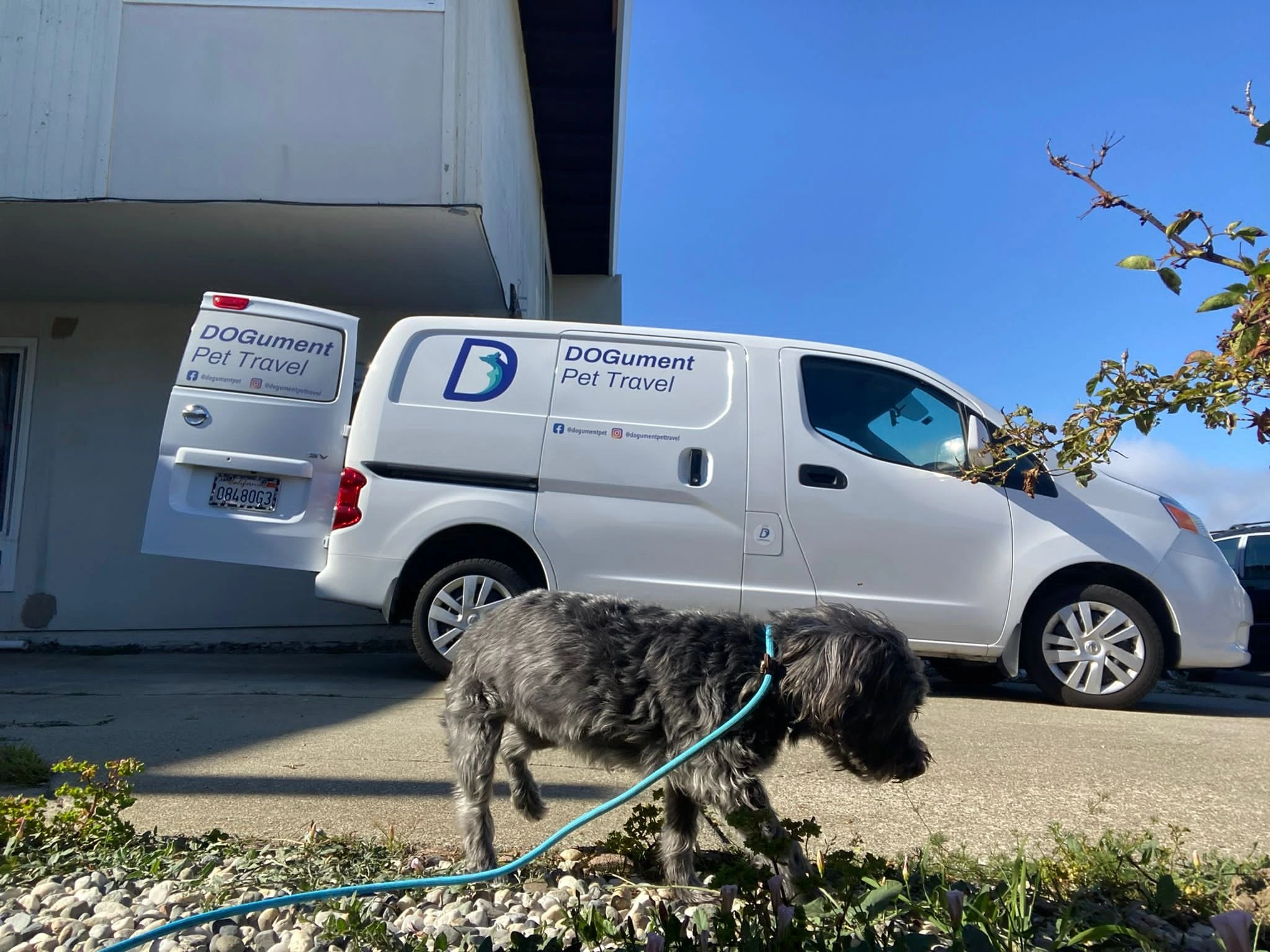 Dogument Pet Travel Pet relocation San Francisco Bay Area