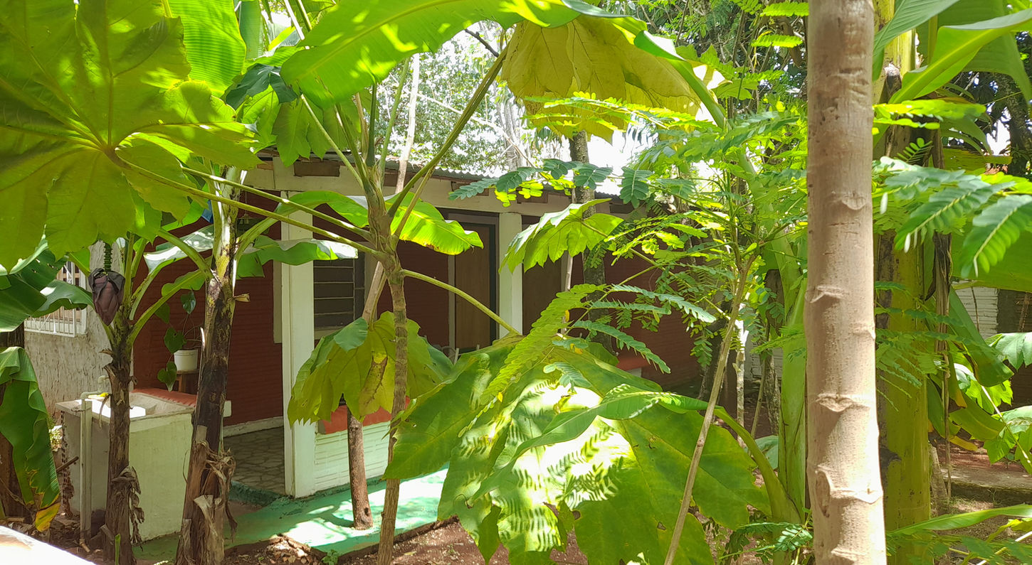 IMG-20220105-WA0059.jpeg