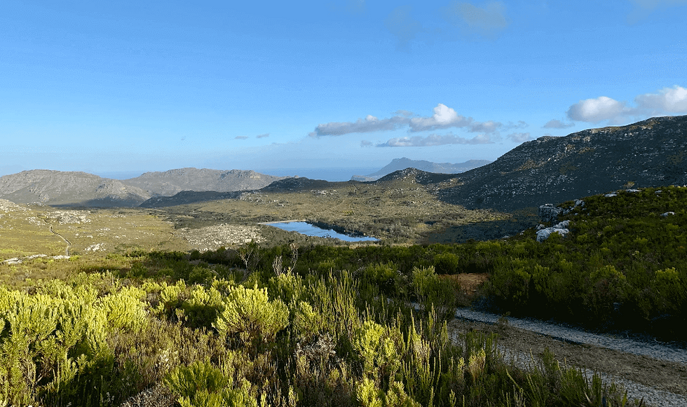Overlooking the Silvermine Dam on one of the the Tokai Cape Town Trails