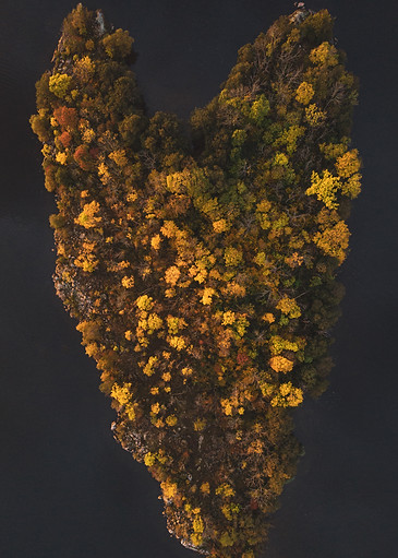 Nature's heart.jpg