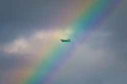 DSC_1232.jpg