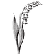 Untitled design (1).png